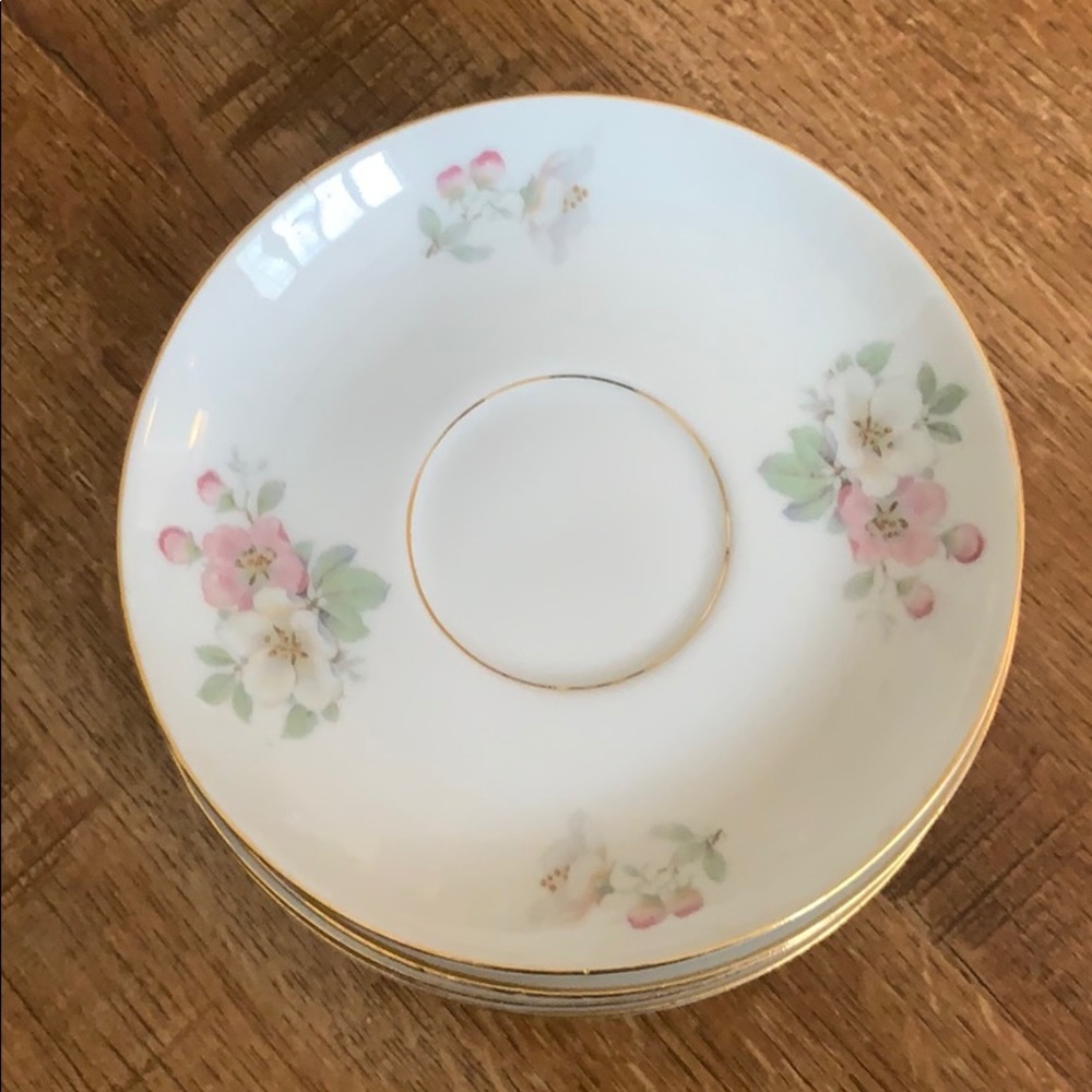 Tirschenreuth Apple Blossom Saucer